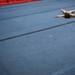Six-year-old Faith Falzon plays on gymnastics mats at Gym America on Monday, January 28. Daniel Brenner I AnnArbor.com